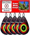 Bird B Gone Reflective Scare Bird Diverter (Set of 5)