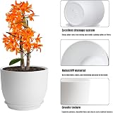 PROFIKLA Plastic Plant Pots Set 20cm 18cm 16cm with Drainage Holes Saucers White view 2