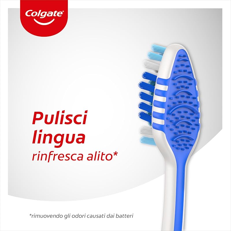 cepillo Zig Zag – Paquete de 12 cepillos