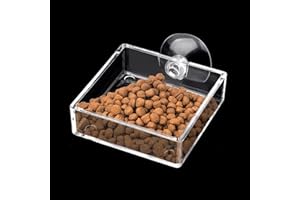 Dannisly Shrimp Feeding Dish Square Fish Tank Feeding Bowl Clear Acrylic Aquarium Feeder Bowl with Suction Cup