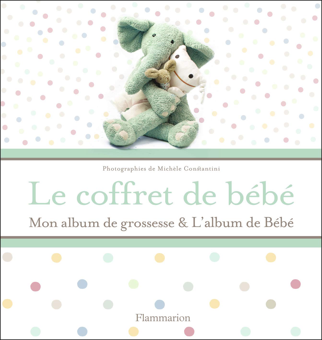 Amazon Fr Le Coffret De Bebe Mon Album De Grossesse L Album De Bebe Constantini Michele Livres