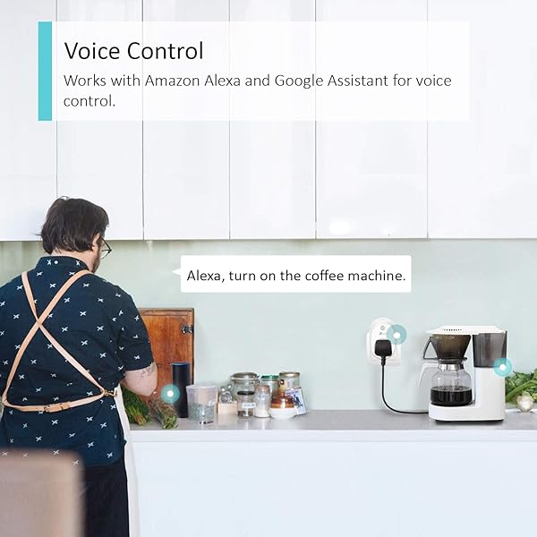 TP LINK Smart Wi Fi Plug fr Amazon Alexa Echo und Echo Dot Google Home und IFTTT Wi Fi Smart Plug