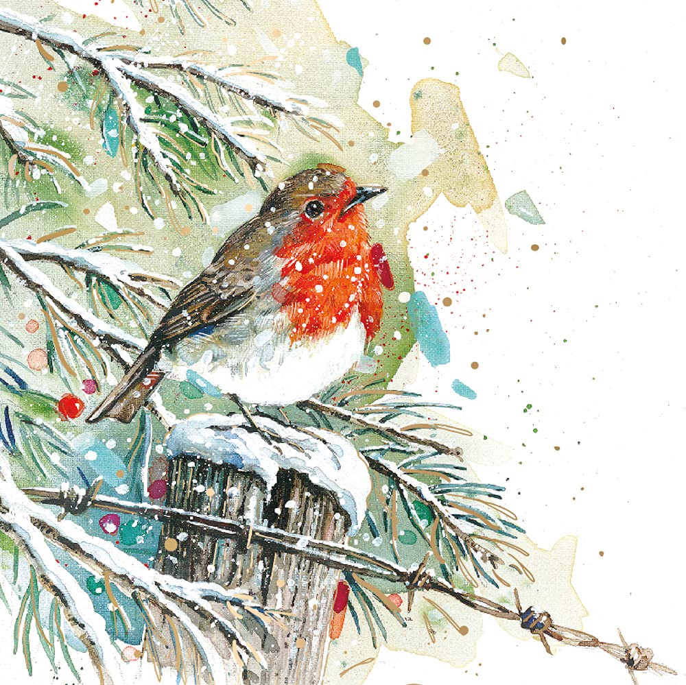 Ling Design Scenic Painted Art Charity Christmas Cards - Pack of 6 Xmas Cards - Set D (Robin On Perch)