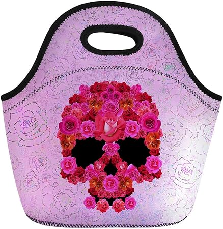 cute girly lunch boxes