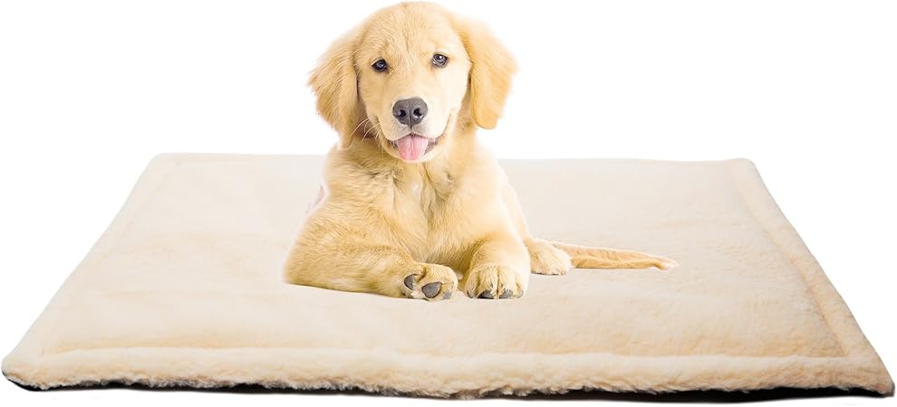 amazon dog crate mat