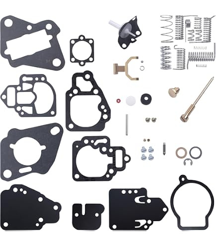 Amazon.com: ZFQMGDD Carburetor Repair Kit for Tohatsu 25HP M30A4