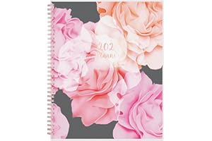 Blue Sky 2024 Weekly and Monthly Planner, January - December, 8.5" x 11", Frosted Cover, Wirebound, Joselyn (110394-24)