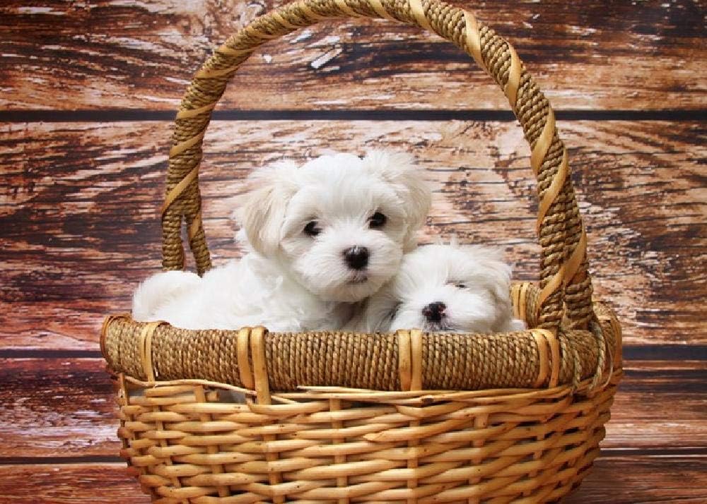 Maltese Puppy-Multi-Style Wooden Jigsaw Puzzle Toy for Children and Adults 1000 Pieces