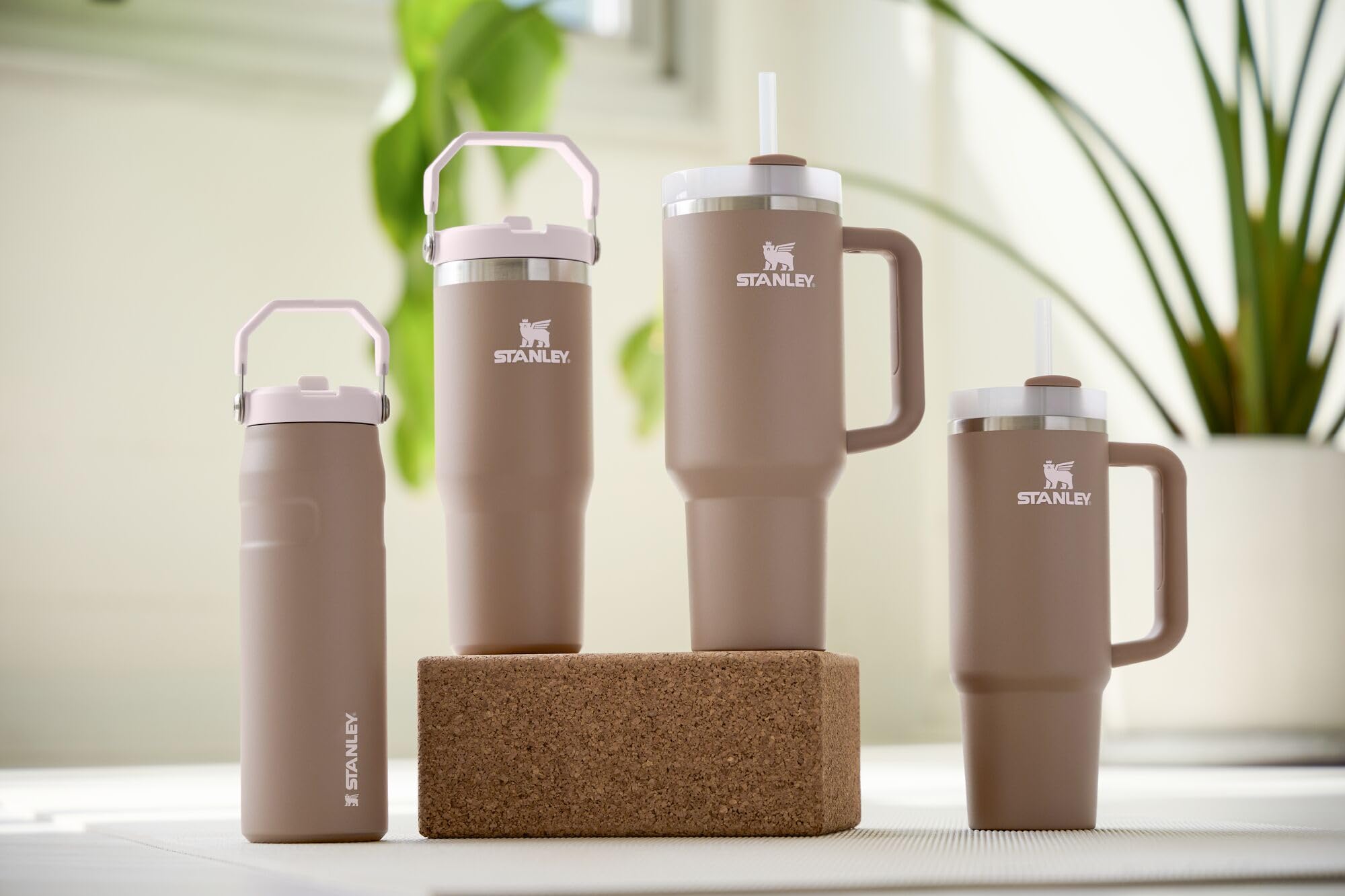 Stanley Quencher H2.0