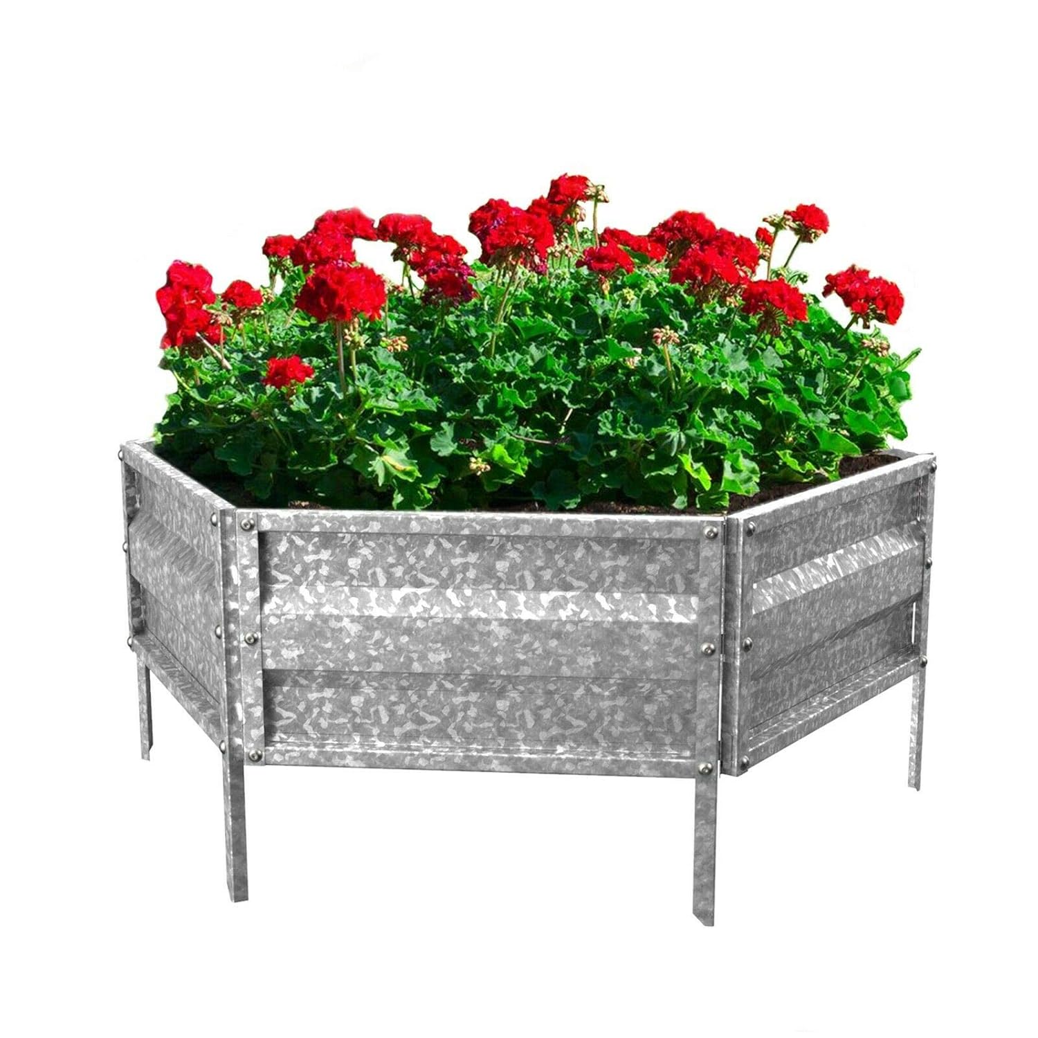 Best Raised Galvanized Metal Garden Bed