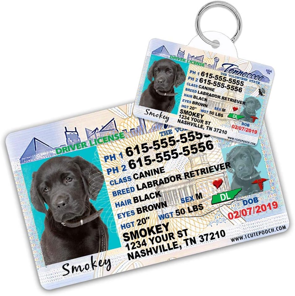 pet state id tags