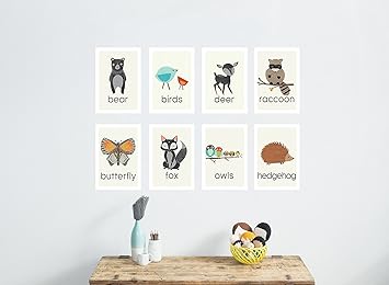 Amazon Com Nature Animal Mini Print Collection 5x7 Wall Cards