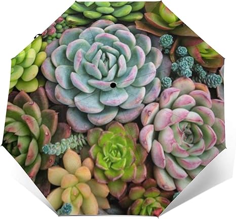 Amazon Co Jp 多肉植物サボテン 自動開閉式折りたたみ傘 ワンタッチ 三つ折り傘 大きいサイズ 耐強風撥水 ファッション小物 優雅 日傘 雨傘 折りたたみ傘 持ち運びが簡単 ホーム キッチン
