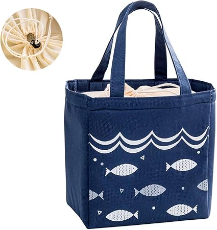 thermal beach bag