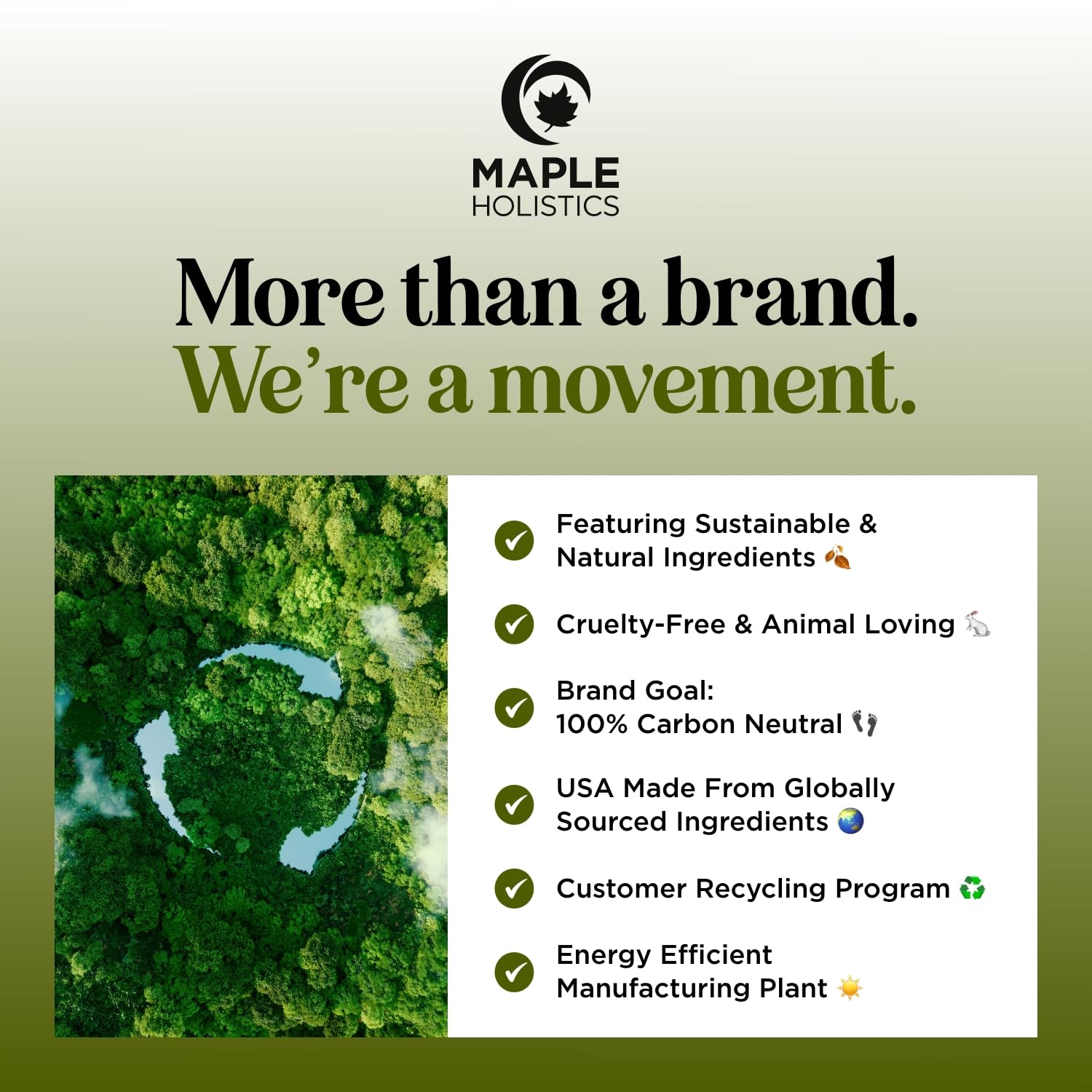 Pure Undiluted Camphor Essential Oil - 100% Pure Camphor Oil for Aromatherapy and Beauty DIYs Great for Soothing Skin and Clearing Chest - Outdoor Diffuser Oil for Patios and Porches (4 Fl Oz)