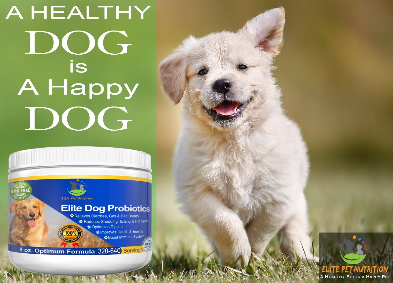 Probiotic Supplement for Dogs Elite Dog Probiotics Powder by Elite Pet