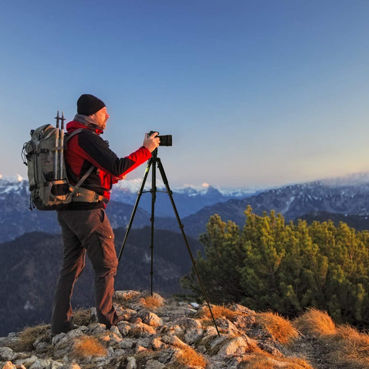Endurax 66" Video Camera Tripod for Canon Nikon Lightweight Aluminum Travel DSLR Camera Stand with Universal Phone Mount and Carry Bag : Camera & Photo