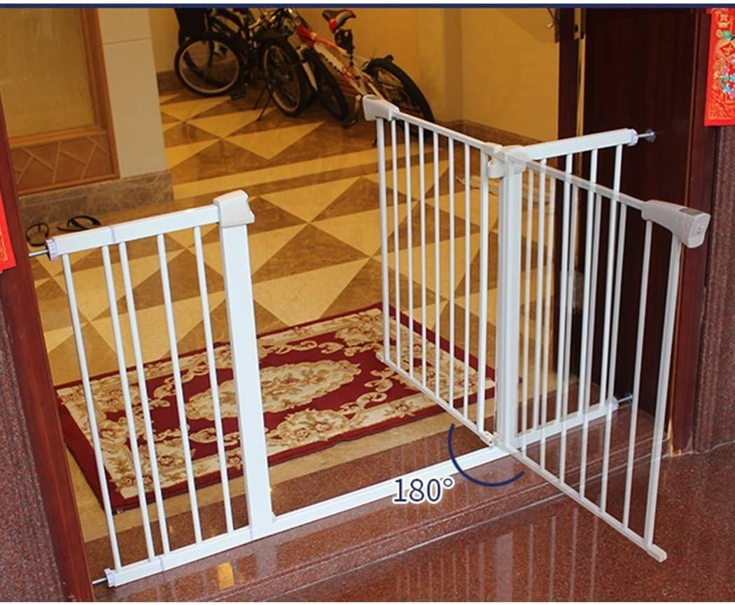 aquatic therapy for dogs near me