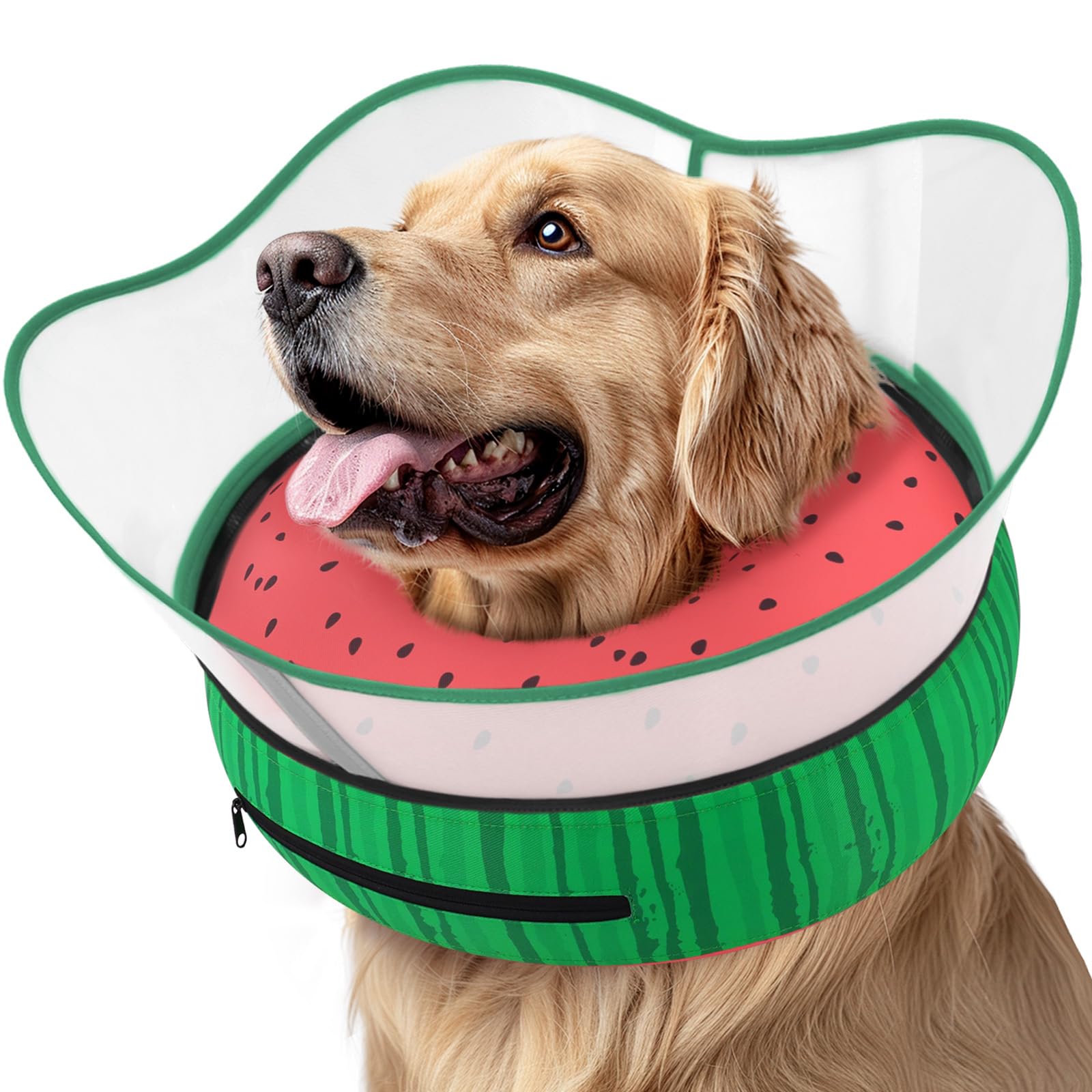 Photo 1 of Supet Raised Inflatable Dog Cone Collar to Stop Licking, Soft Dog Cone Alternative After Surgery, Pet Neck Donut Collar for Small Medium Large Dogs