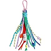 QTMY Rope Braided Keychain Bag Charms for Handbag Purse Backpack Accessories for Bogg Bag,860Colorful-1