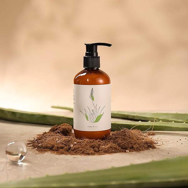 ROMIIE ZOI NATURAL HAND & BODY LOTION BOTANICAL TOUCH – MYSTIQUE OF GREEN TEA & ALOE – 236 ML / 8 FL OZ