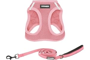 Voyager Step-in Air All Weather Mesh Harness and Reflective Dog 5 ft Leash Combo with Neoprene Handle, for Small, Medium and Large Breed Puppies by Best Pet Supplies - Harness Leash Set (Pink), M