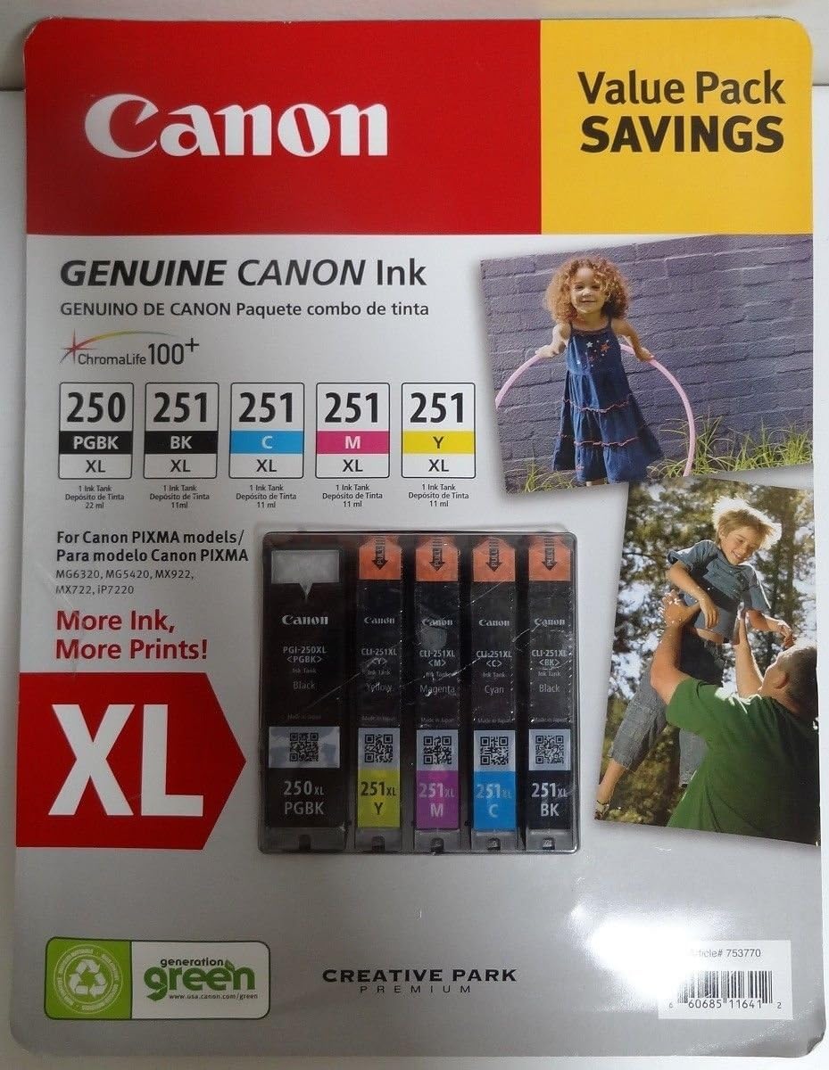 Canon Ink 250 and 251 XL