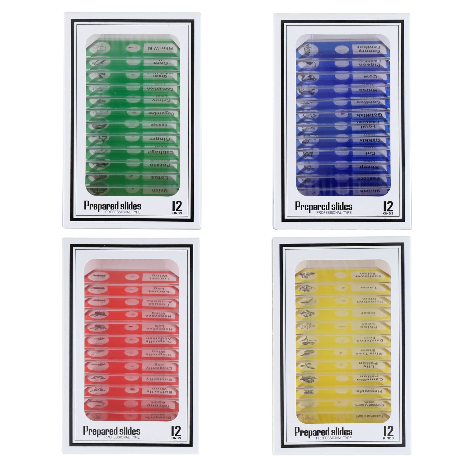 HUAREW 48 PCS Prepared Microscope Slides Specimen Insects, Animals, Flowers, Plants, Biological Specimens, Microscope Slide, Enlightening Science Education for Kids Children Students