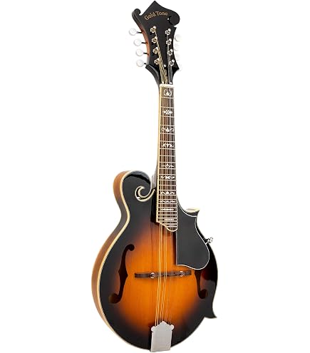 Amazon.com: The Loar LM-520-VS Performer F-Style Mandolin