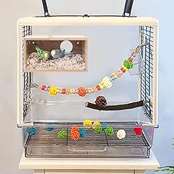 Rypet Parakeet Nesting Box Transparent