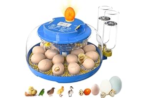 BESTECCT Incubators for Hatching Eggs,18 Egg Incubator with Automatic Egg Turning and Humidity Control,Egg Candler,Air Vent,360° Viewing for Chicken,Duck Eggs,Ideal for Farm,Classroom,Home Use