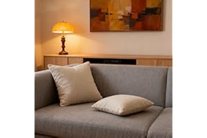 EVAsponge Decorative Indoor Throw Pillows with Inserts 18x18 Inch Set of 2 – Fall Modern & Anthropologie Home Decor for Living Room, Bedroom | Soft Throw Pillows for Sofa, Couch