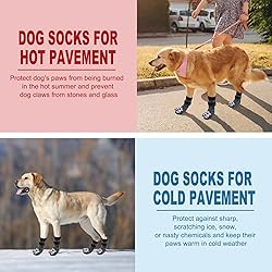 EXPAWLORER Anti Slip Dog Socks to Prevent Licking