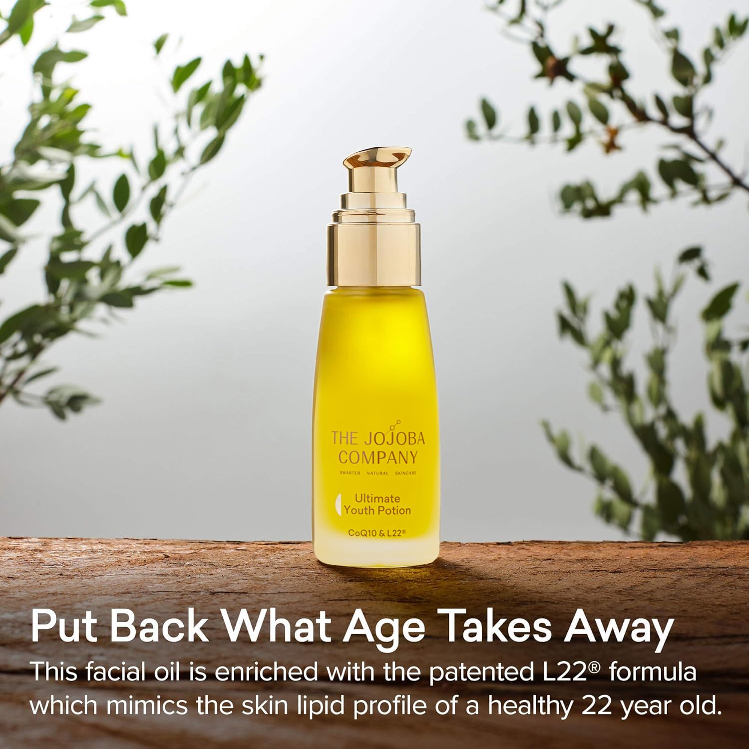 View 2