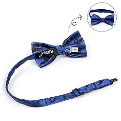Alizeal Mens Paisley Bow Tie, Pocket