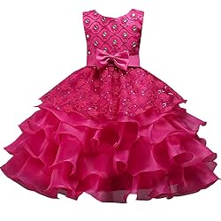 DreamHigh Wedding Flower Girl's Ruffles Lace Cute