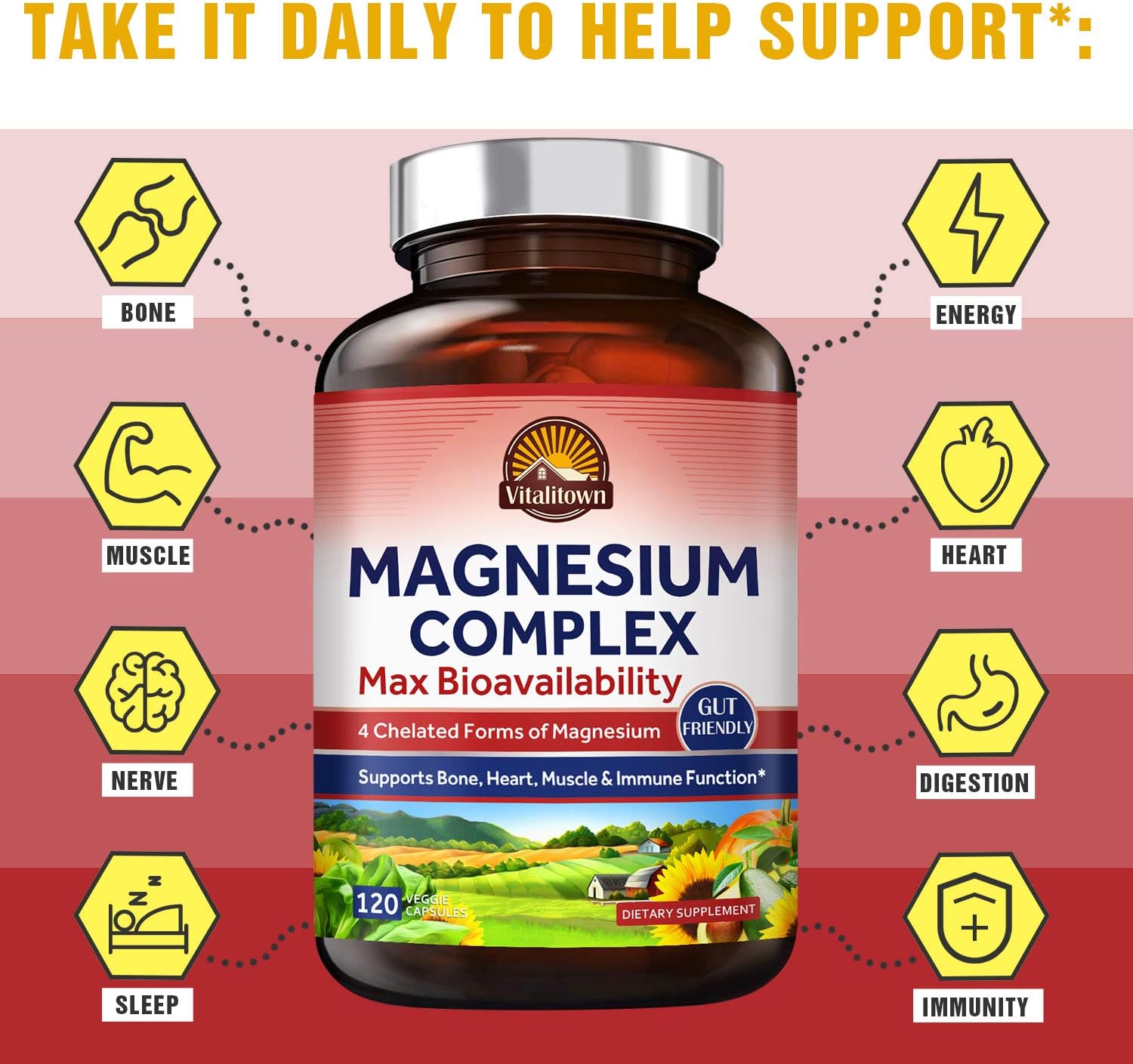 Vitalitown Magnesium Complex, Magnesium Glycinate, Malate, Taurate & Citrate, Chelated Forms, High Absorption, Bone, Heart, Muscle, Immune, Brain, Heart, Energy, Sleep & Digestion, Non-GMO: Musical Instruments