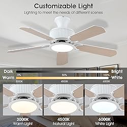 Surtime 44 Inch Low Profile Ceiling Fans with