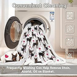 BlessLiving Red Hearts Dog Cat Print Plush Blanket
