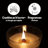 WoodWick Large Hourglass Trilogy Candle | Calming Retreat | 130 Hour Burn view 3