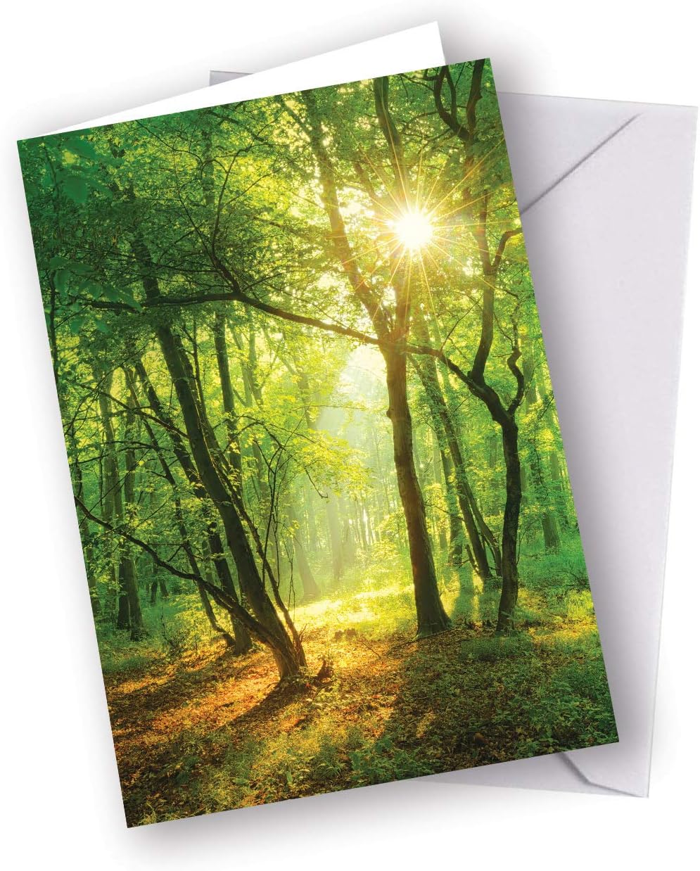 This Card Plants A Woodland Tree, yellow|black|white|green, A6 (14.9cm x 21cm)