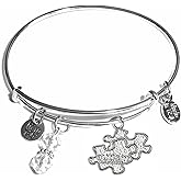Hidden Hollow Beads Women's Stainless Steel Message Charm Expandable Wire Bangle Bracelet, Very Popular and Stylish, Arrives in a Gift Bag. (Autism)