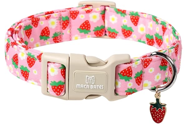 Maca Bates Pink Strawberry Basic Dog Collar for Small Girl Boy Dogs with Cute Strawberry Charm,Strawberries Pattern, Adjustab
