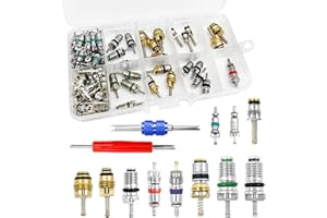VRASLY 102Pcs Air Conditioning Valve Core - Valve Cores Accessories A/C R12 R134a Accessories Kit, Automotive Air Conditioning Refrigeration Tire Valve Stem Cores Repair Tool Assortment Kit