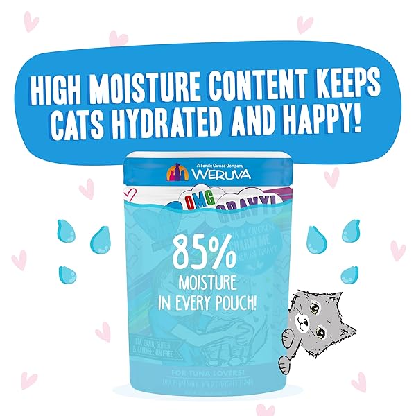 WERUVA B.F.F. OMG – BEST FELINE FRIEND OH MY GRAVY! TUNA & CHICKEN CHARM ME WITH TUNA & CHICKEN IN GRAVY CAT FOOD, 3OZ POUCH (PACK OF 12)