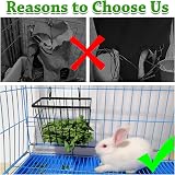 S SANGLE SOPFFY Rabbit Hay Feeder 2PCS Metal Frame Wall Mount Guinea Pig view 6