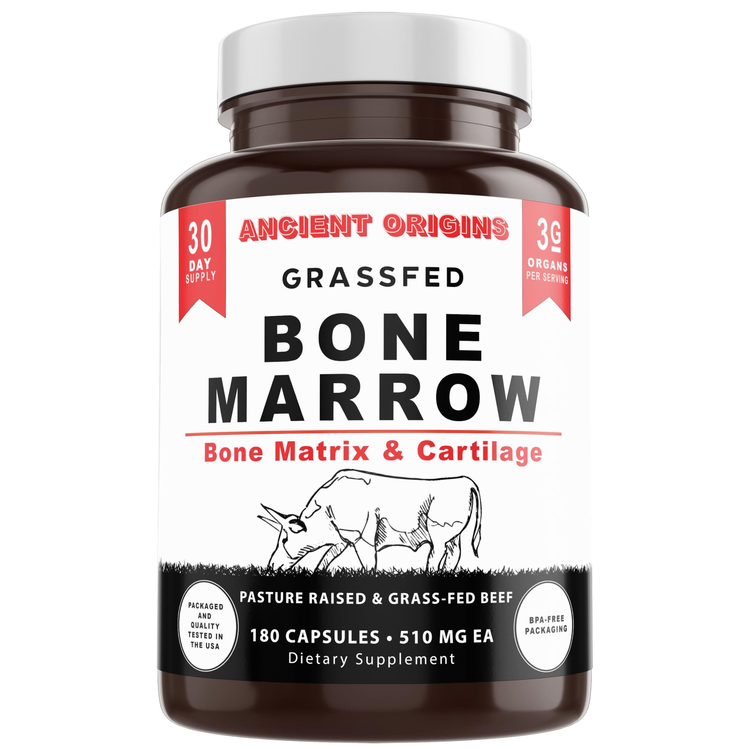 Bone Marrow