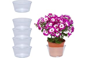 CURTIS WAGNER PLASTICS CORP. Curtis Wagner Plastics Drip Pan Saucers (5-Pack) - Clear, Deep (Diameter: 6" Base, 8" Top, 3.5" Depth) Thin Plastic Plant Tray Indoor Outdoor