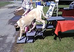 Pet Loader® XL 18" Platform, 4 Step. Folding USA