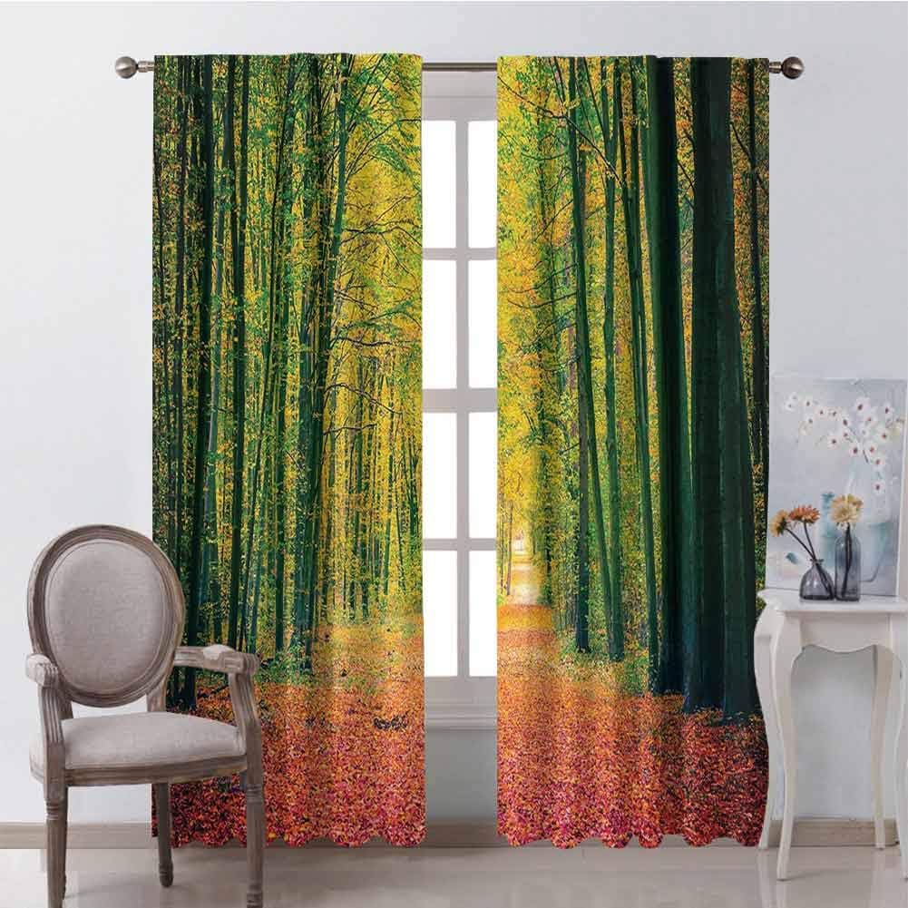 Amazon Com Forest For Bedroom Blackout Curtains Pathway In Autumn